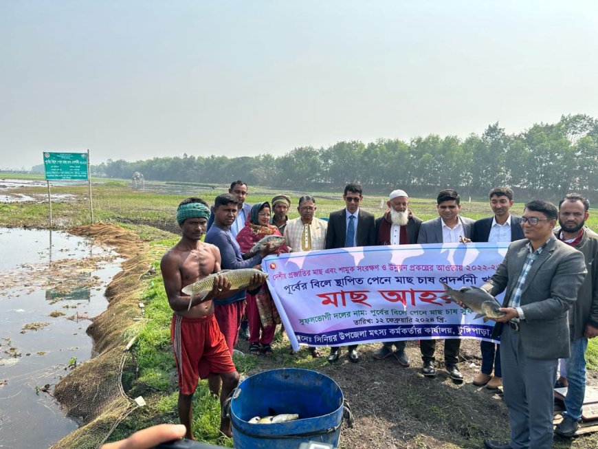 গোপালগঞ্জে পতিত জলাভূমিতে “টুঙ্গিপাড়া মডেল” পদ্ধতির পেন কালচার ব্যাপক সাড়া ফেলেছে!